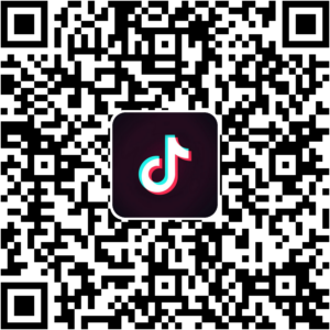 抖音小程序
